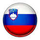 Image of Slovenia logo