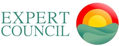 Expert Council One logo